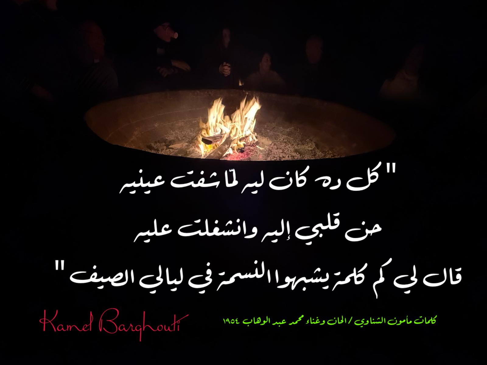 حب وحنين – اقتباس 512