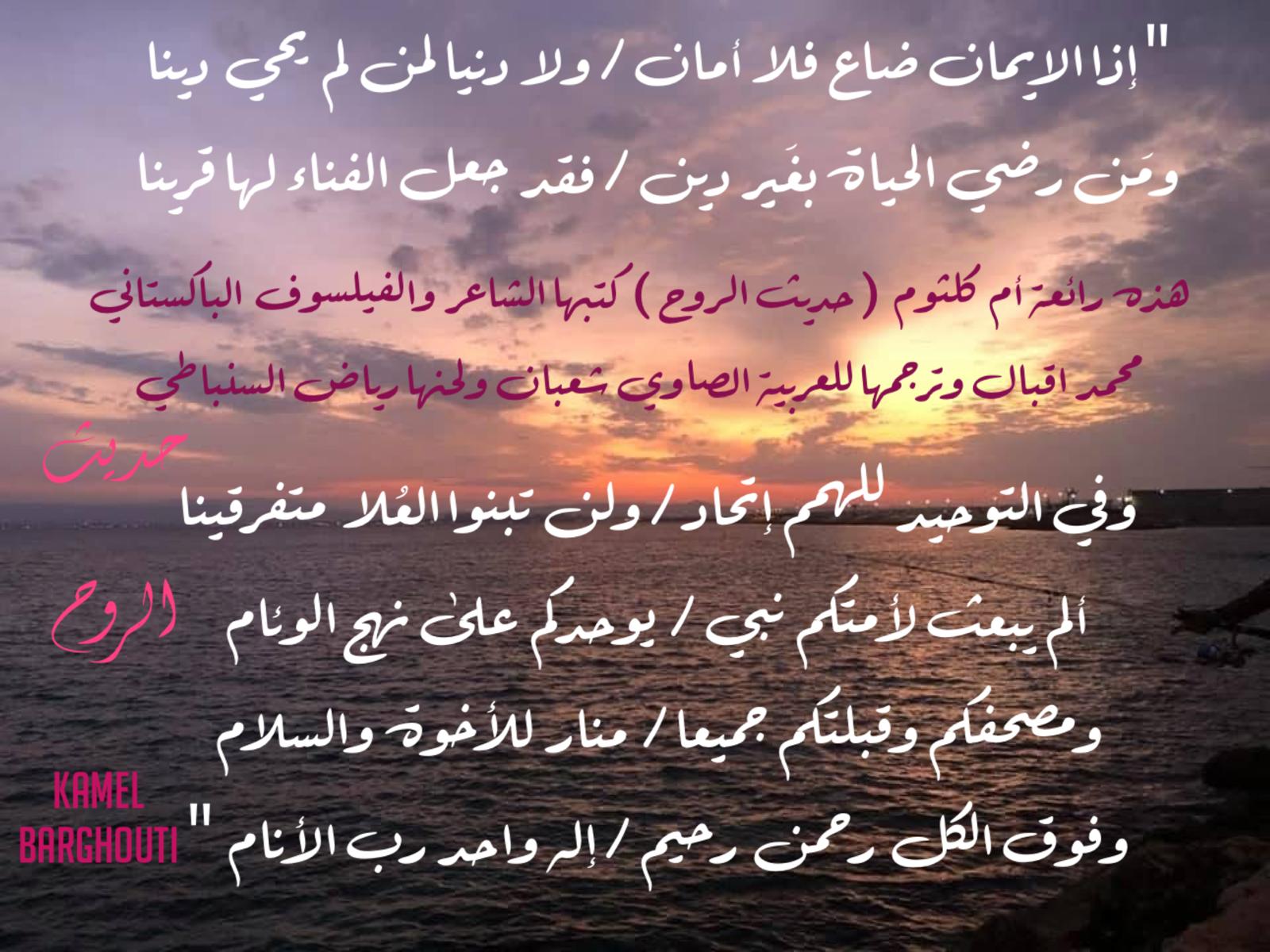كلام جميل – اقتباس 535