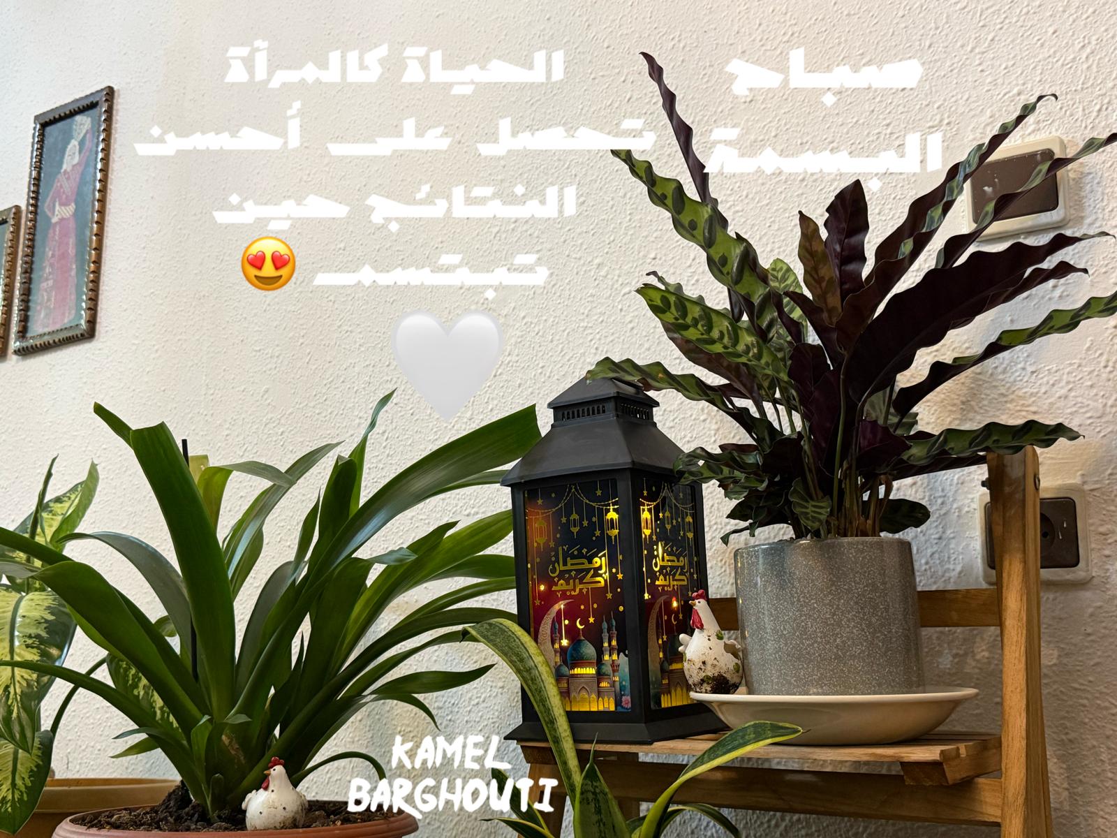 حكمة – اقتباس 188