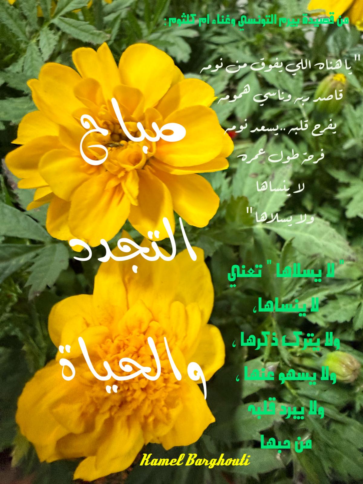صباح الخير – اقتباس 103