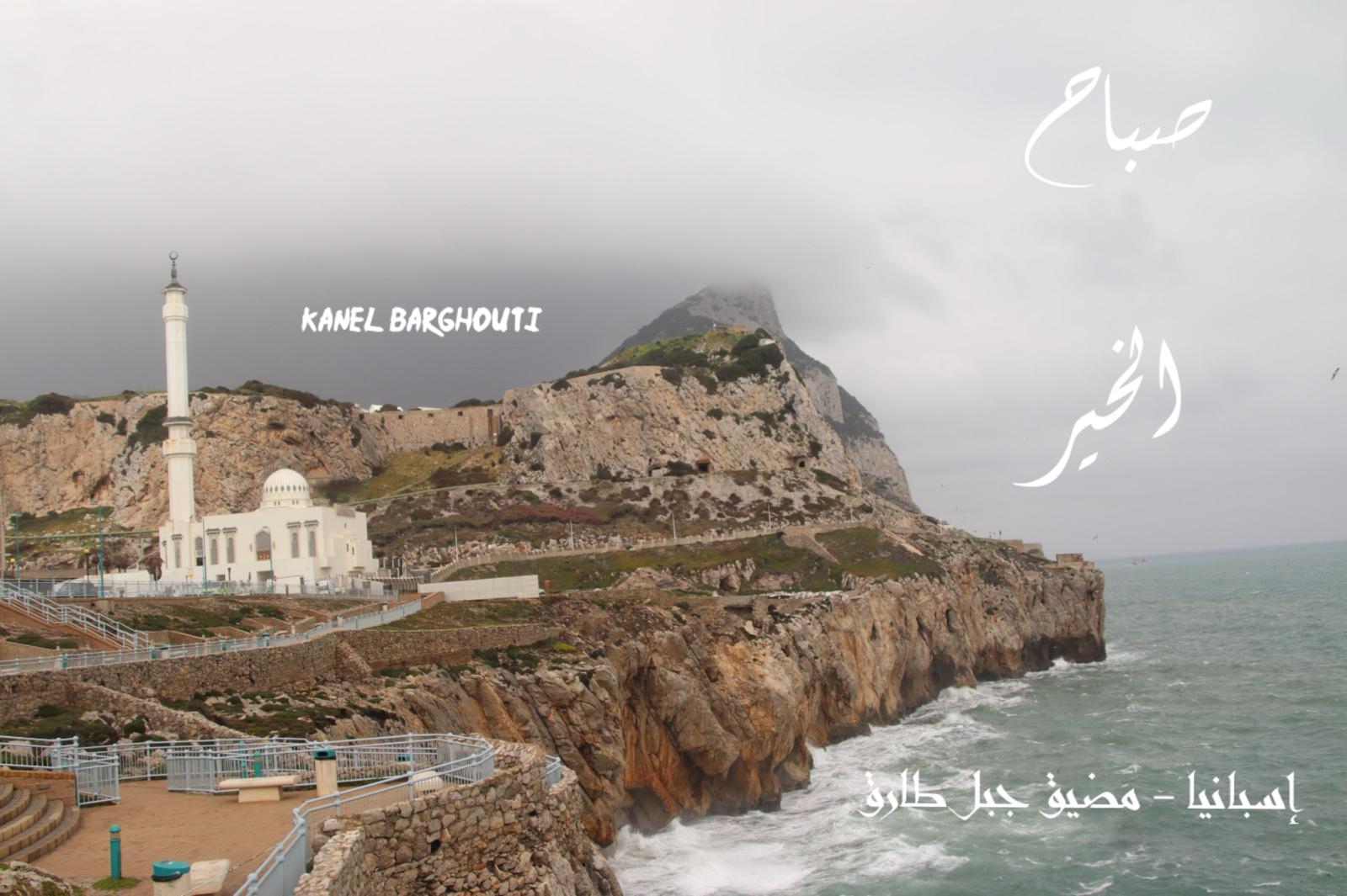 صباح الخير – اقتباس 99