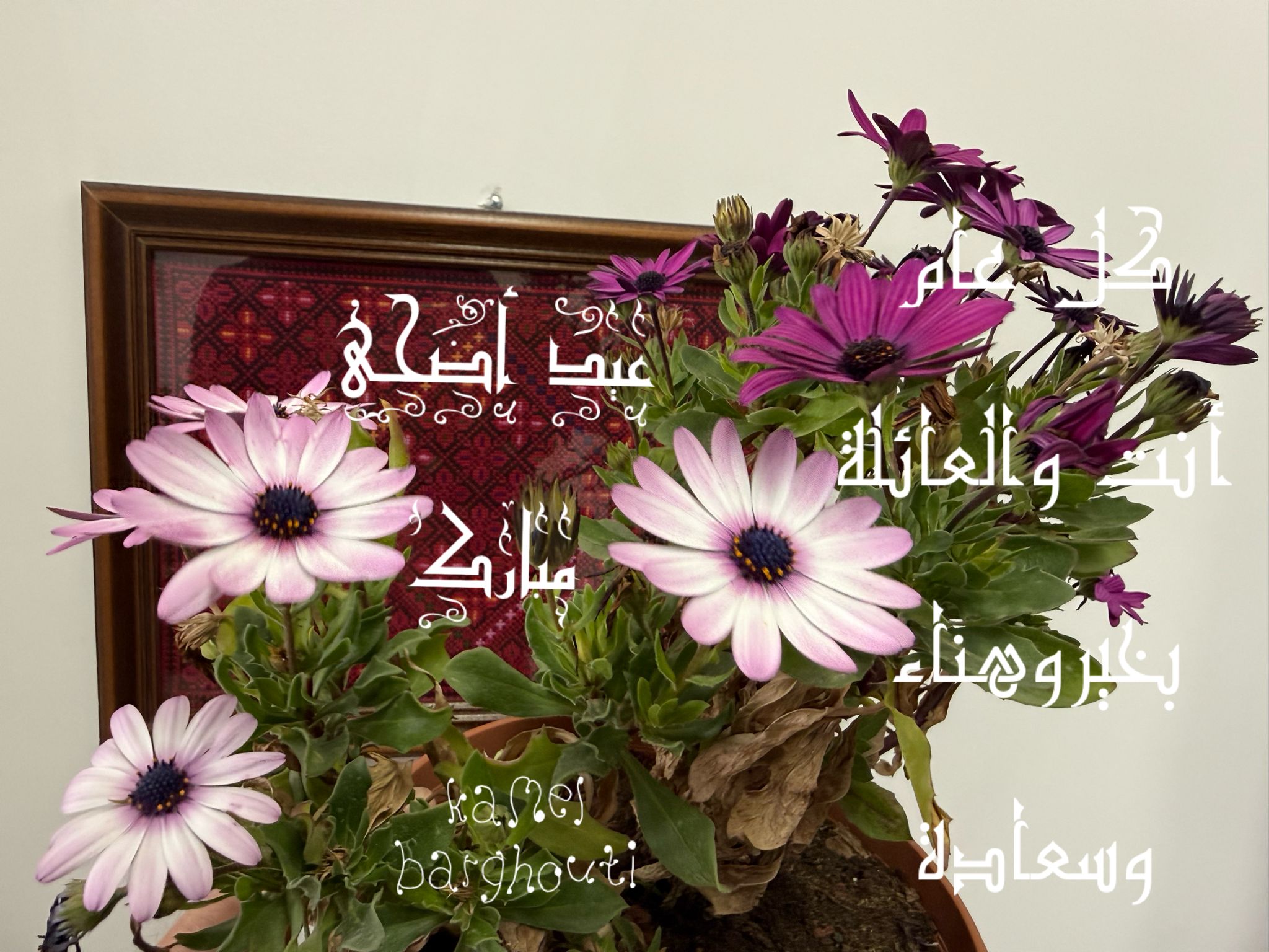 تحية الأعياد – اقتباس 6
