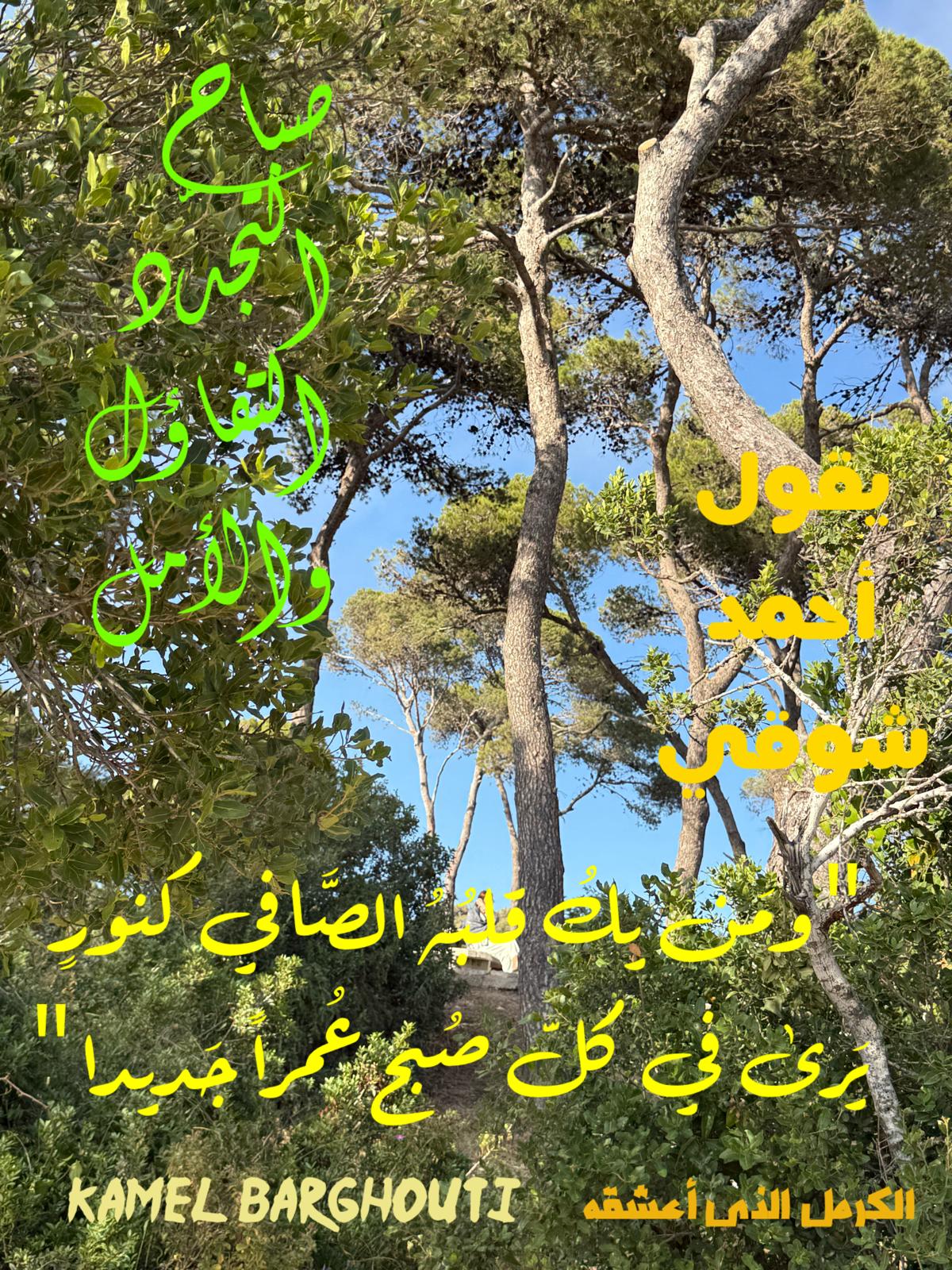 صباح الخير – اقتباس 97