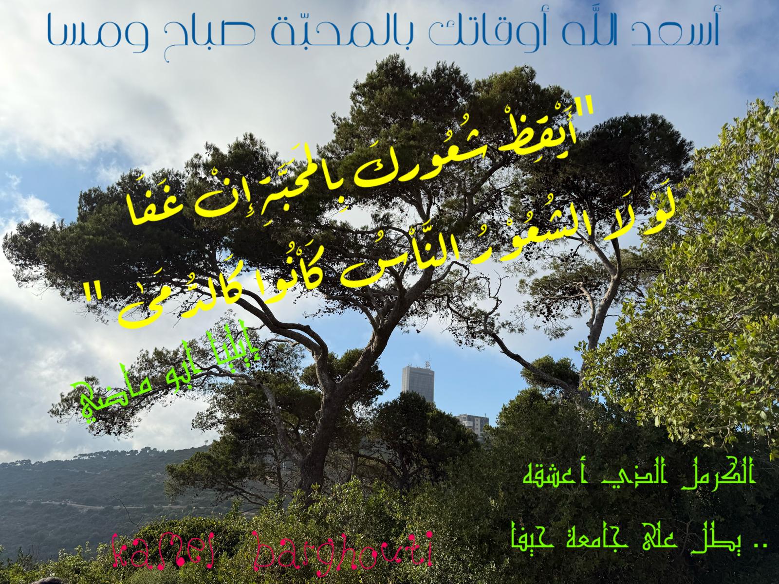 تفاؤل, أمل, وسعادة – اقتباس 359
