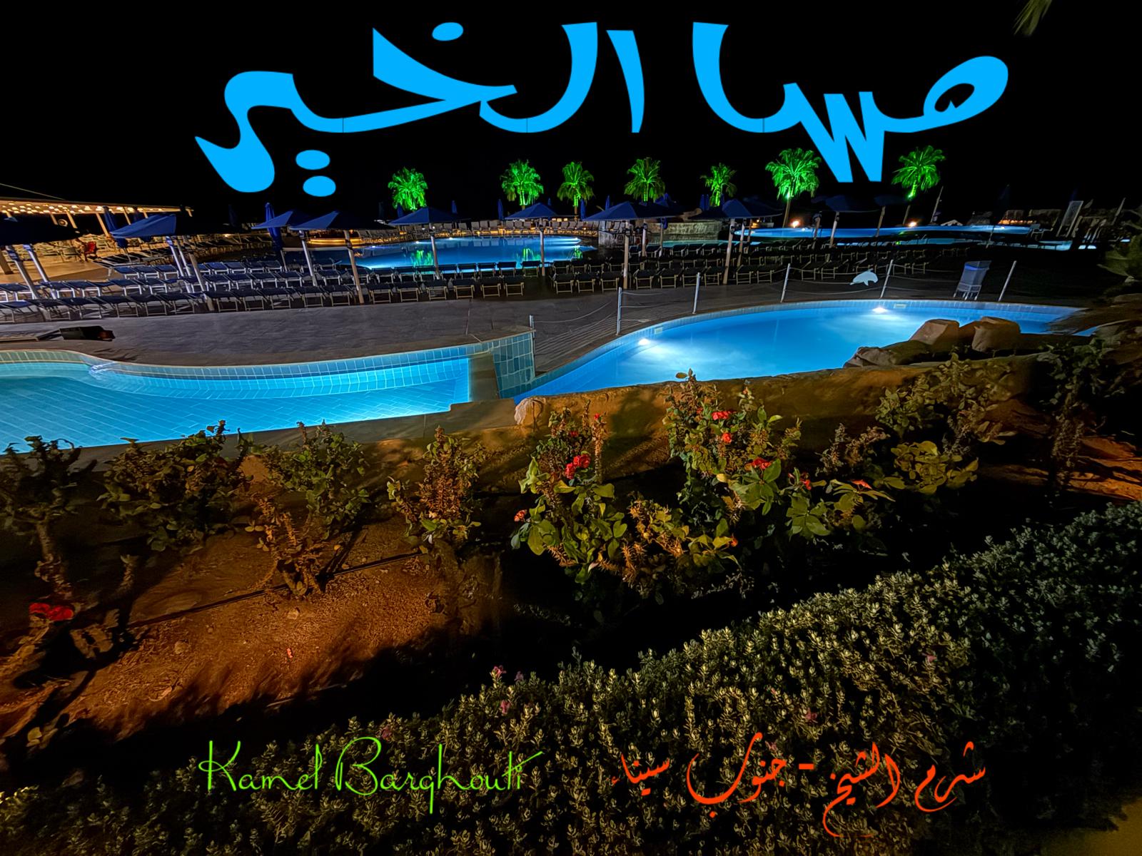 صباح الخير – اقتباس 96