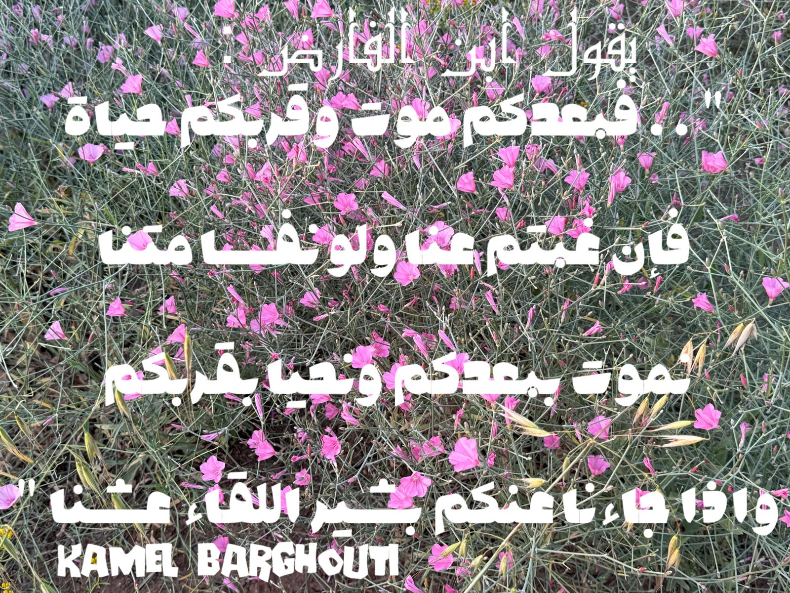 حب وحنين – اقتباس 499