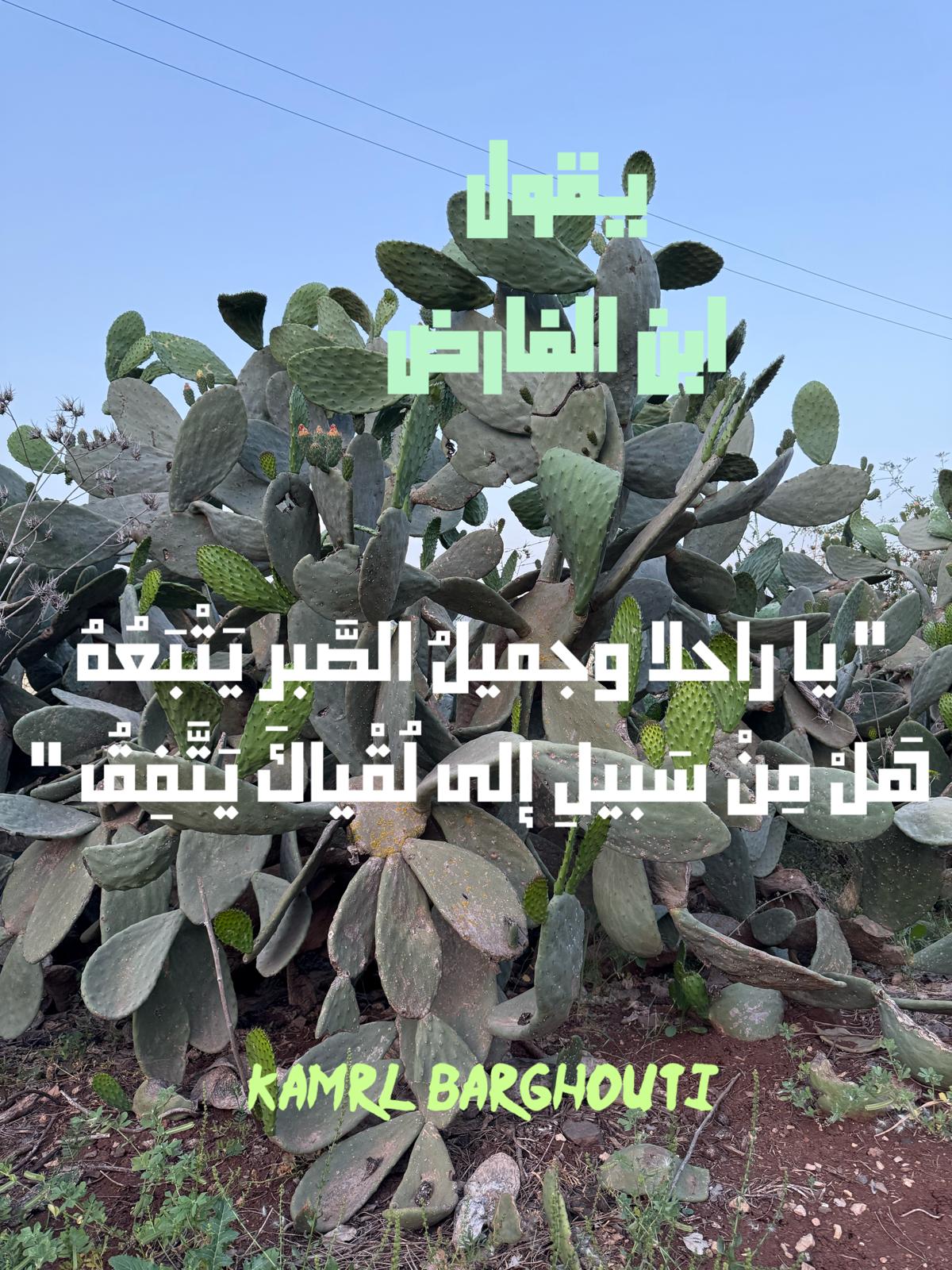 حب وحنين – اقتباس 502