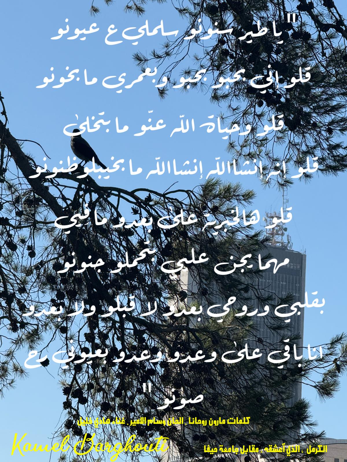 حب وحنين – اقتباس 508