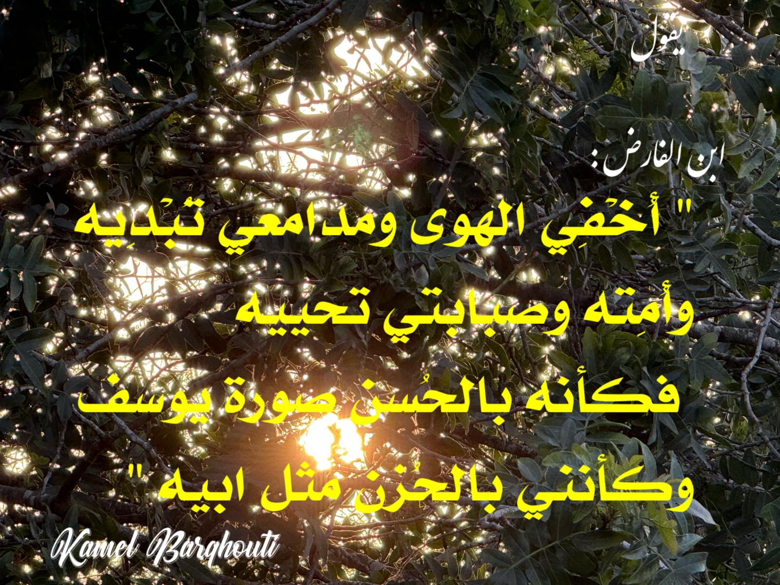 حب وحنين – اقتباس 507