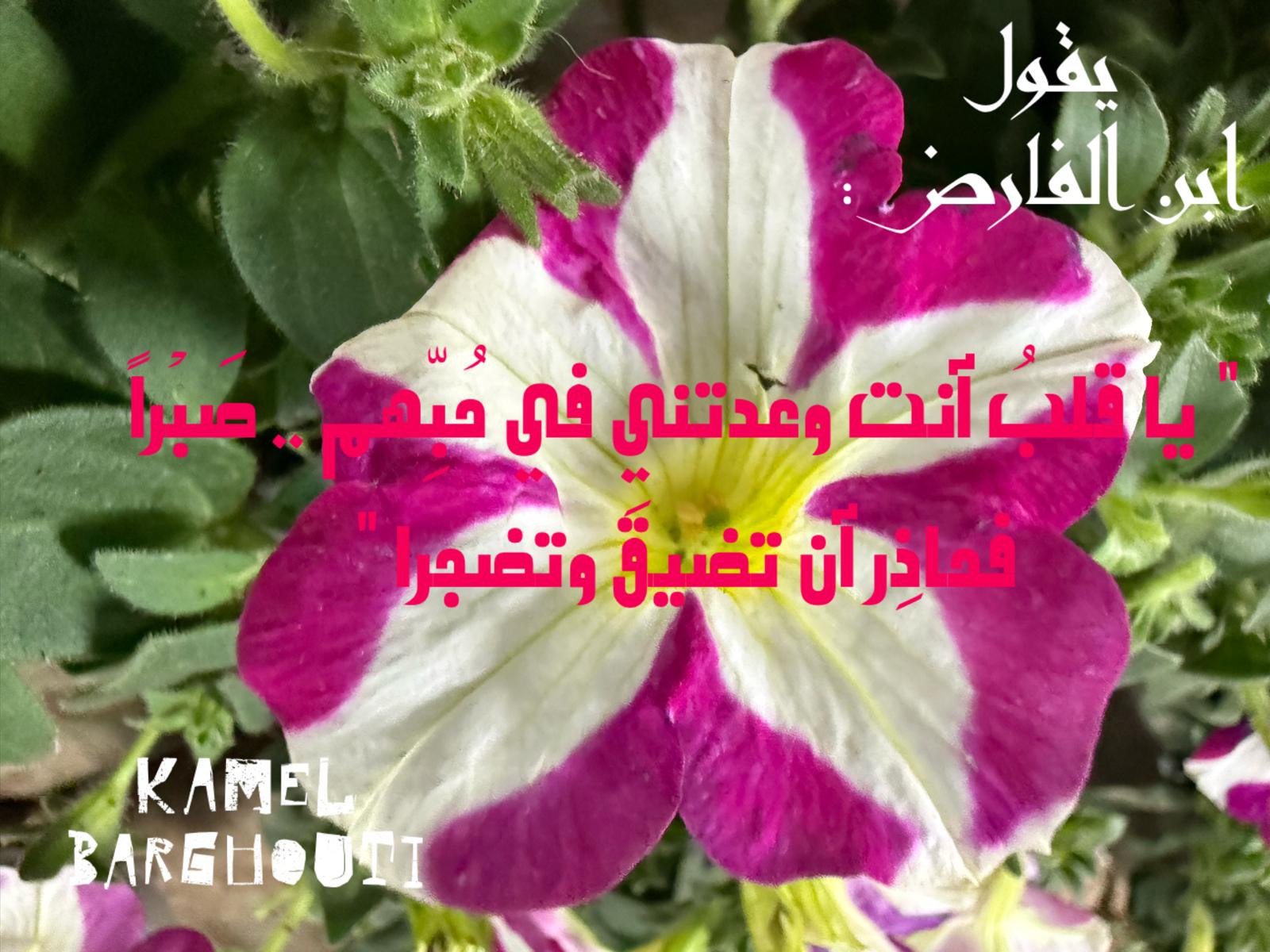 حب وحنين – اقتباس 501