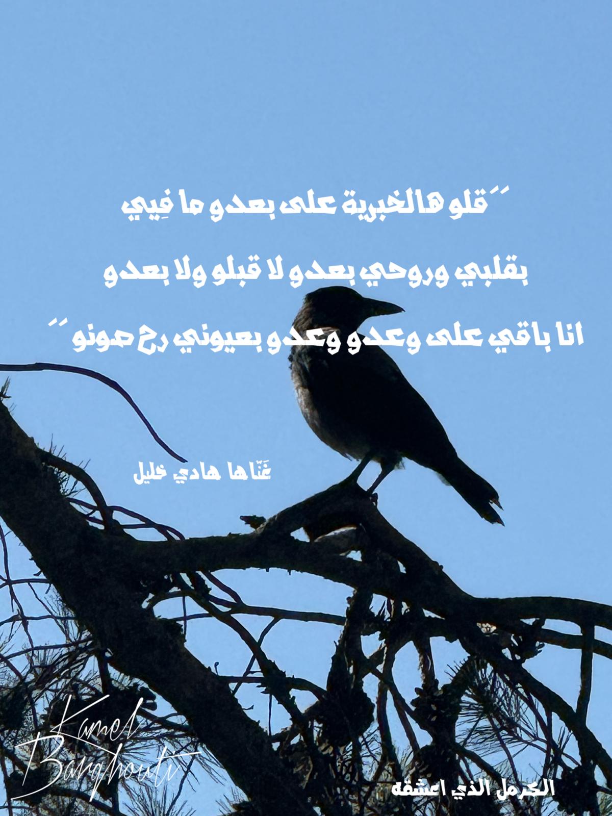 حب وحنين – اقتباس 509