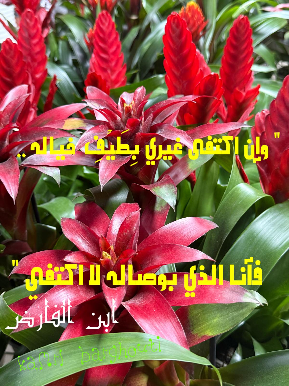 حب وحنين – اقتباس 503