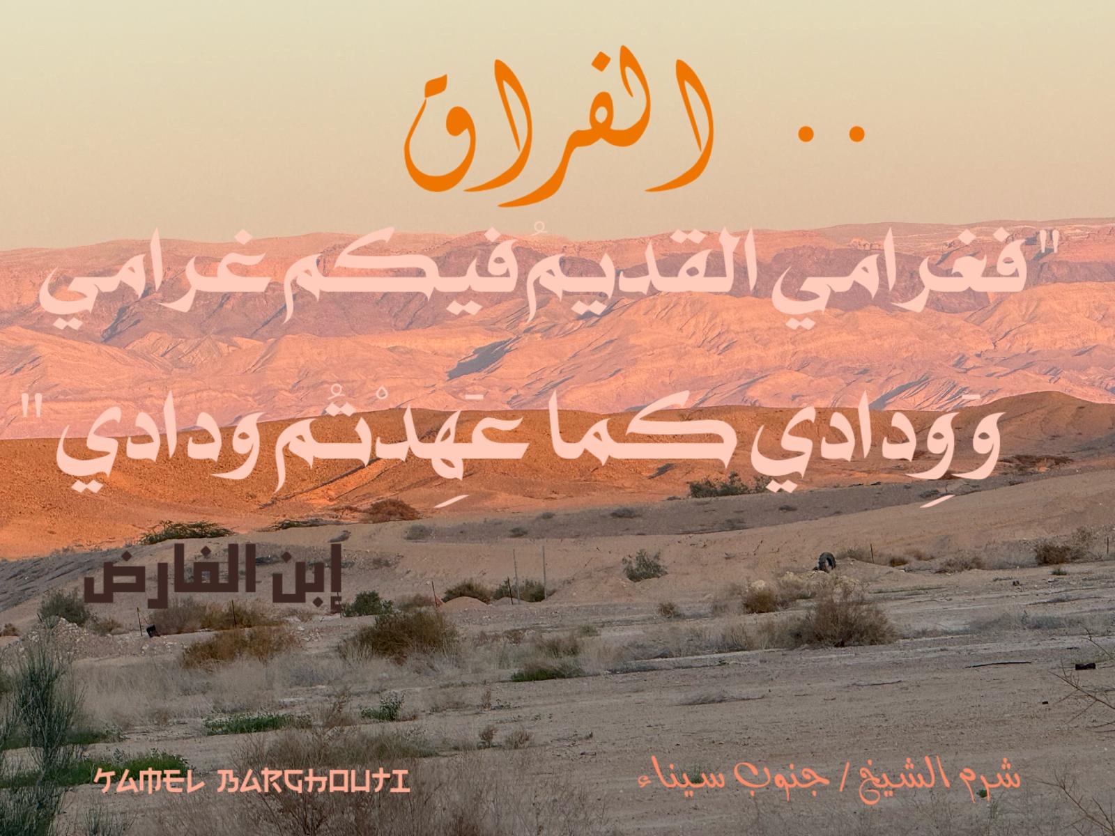 حب وحنين – اقتباس 490
