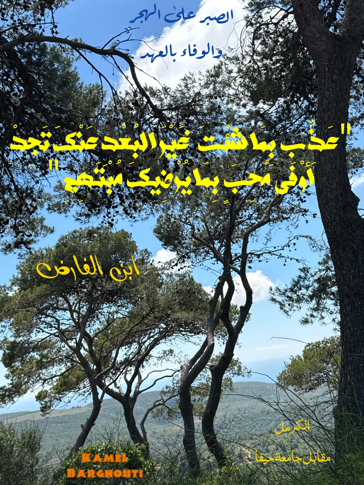 حب وحنين – اقتباس 489