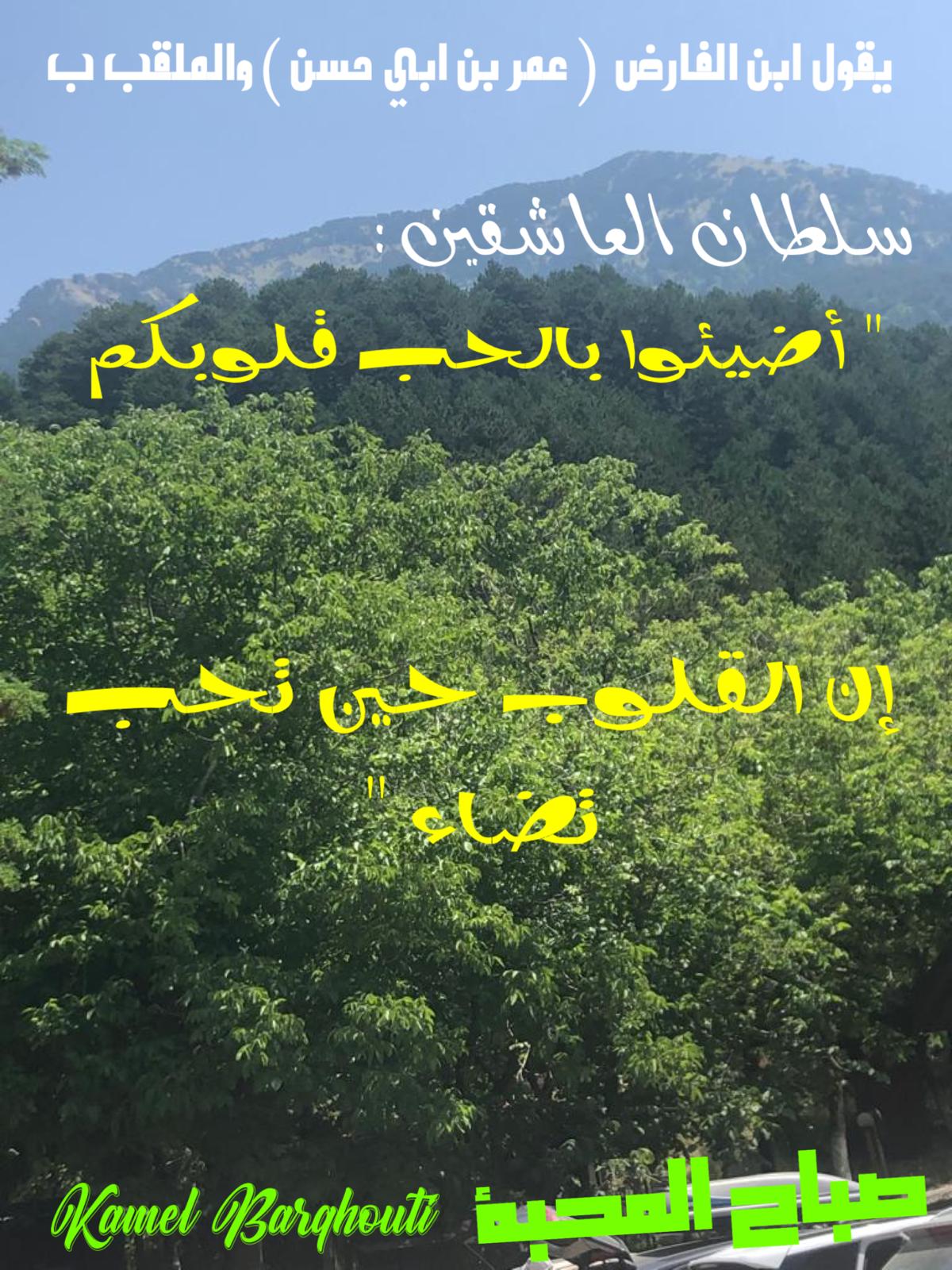 صباح الخير – اقتباس 94