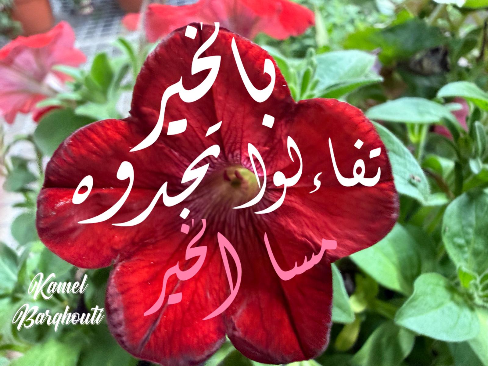 حب وحنين – اقتباس 483