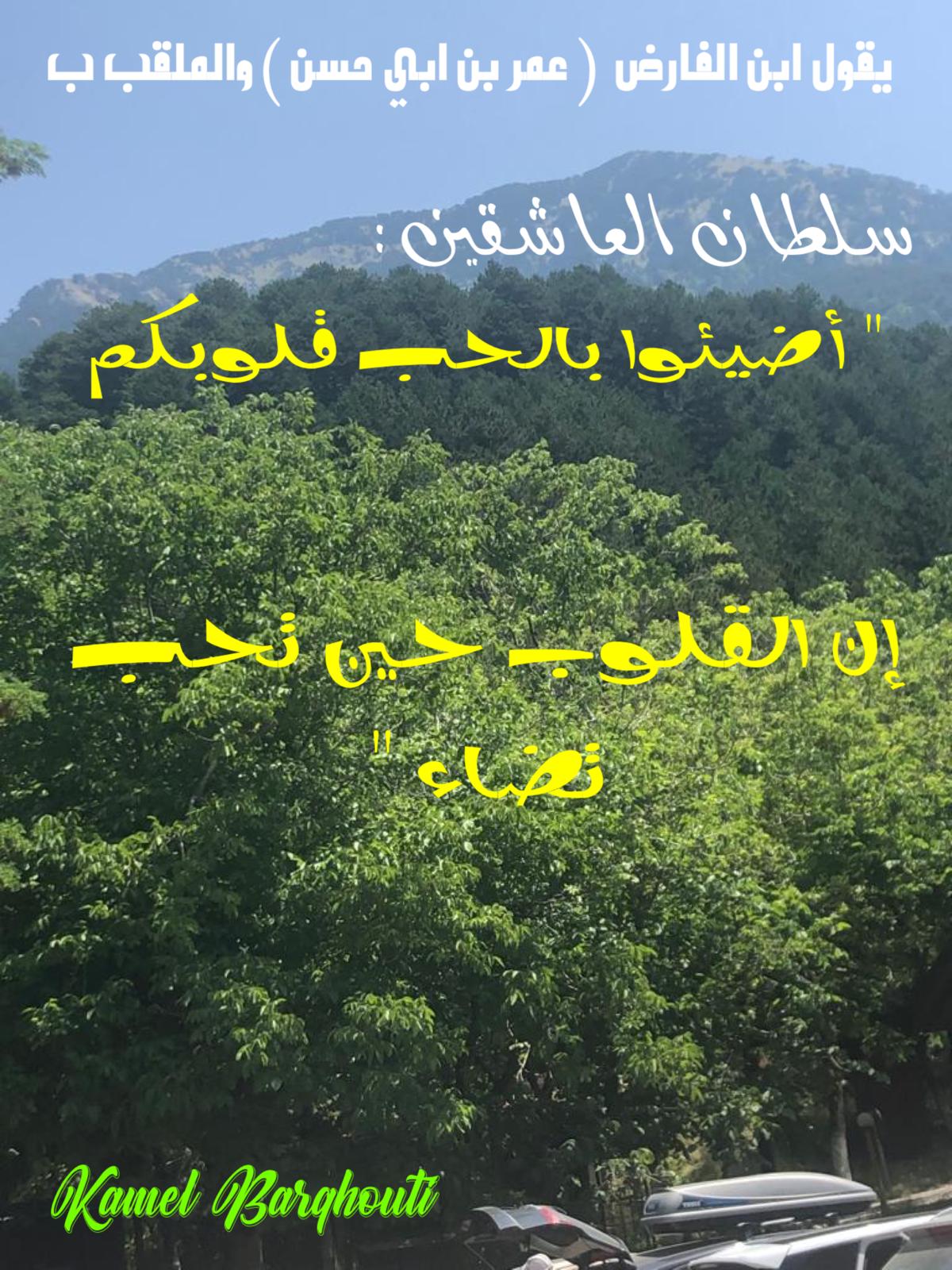 حب وحنين – اقتباس 484