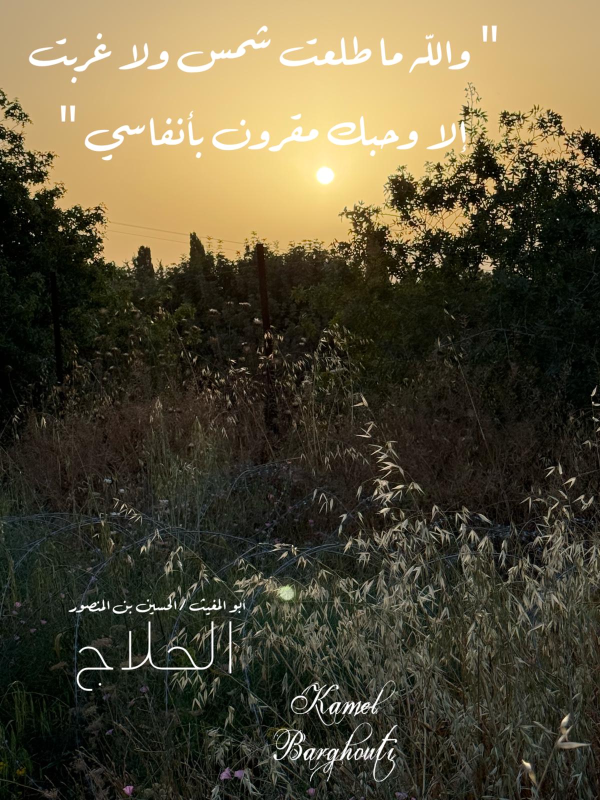 حب وحنين – اقتباس 479