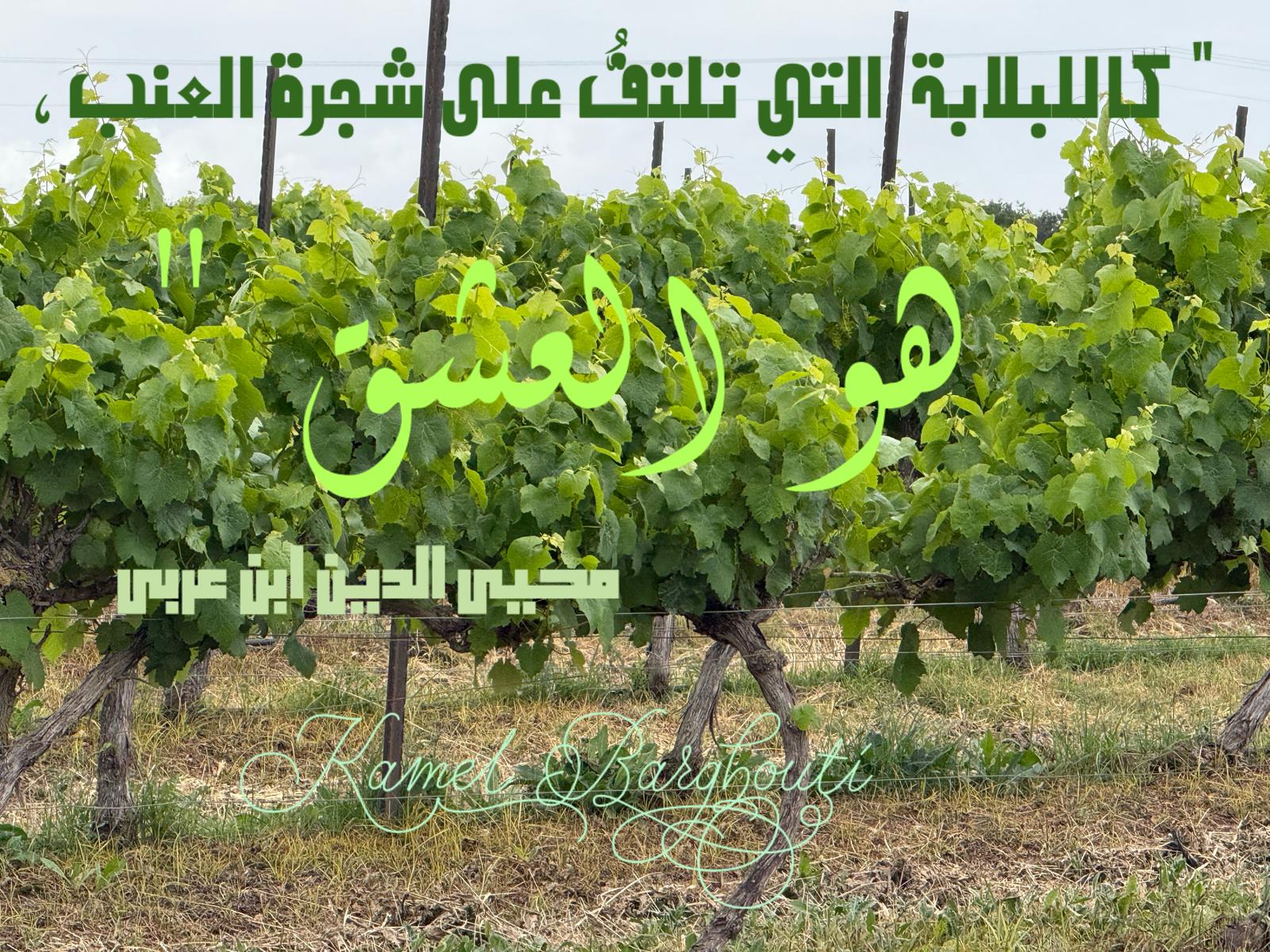 حب وحنين – اقتباس 480
