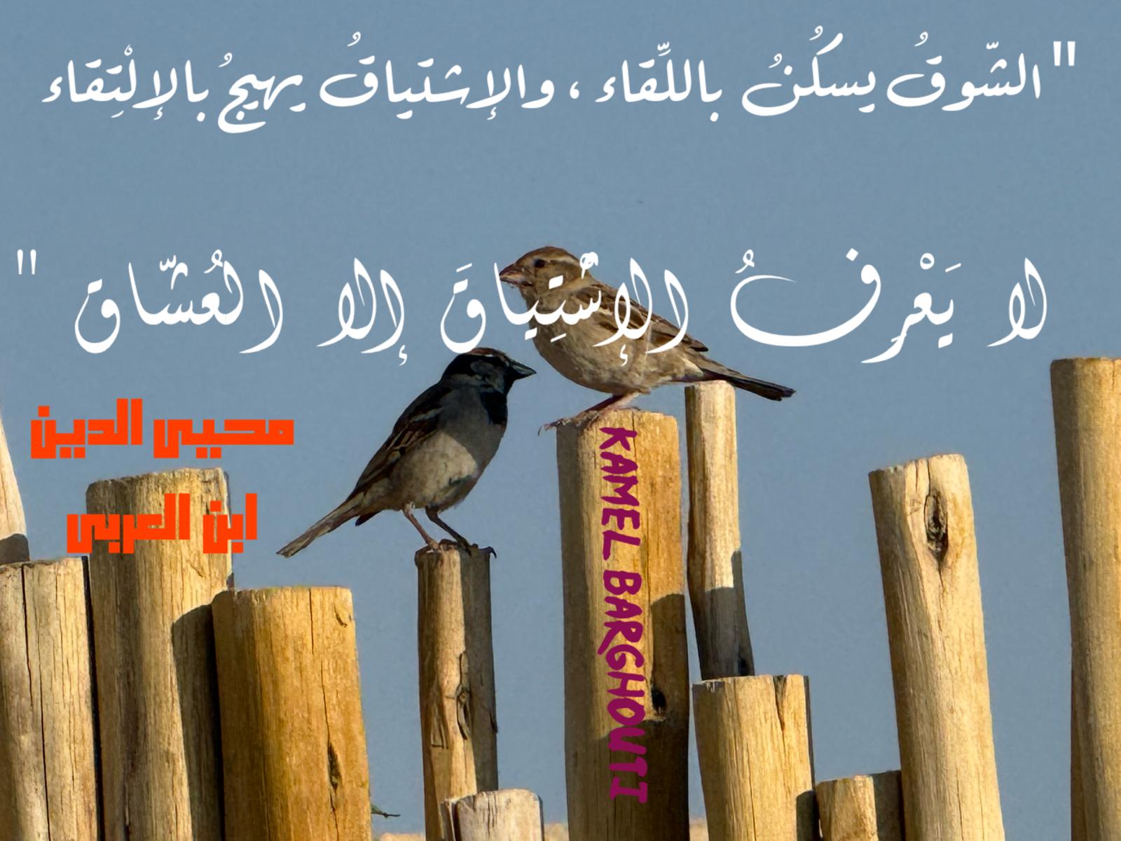 حب وحنين – اقتباس 478