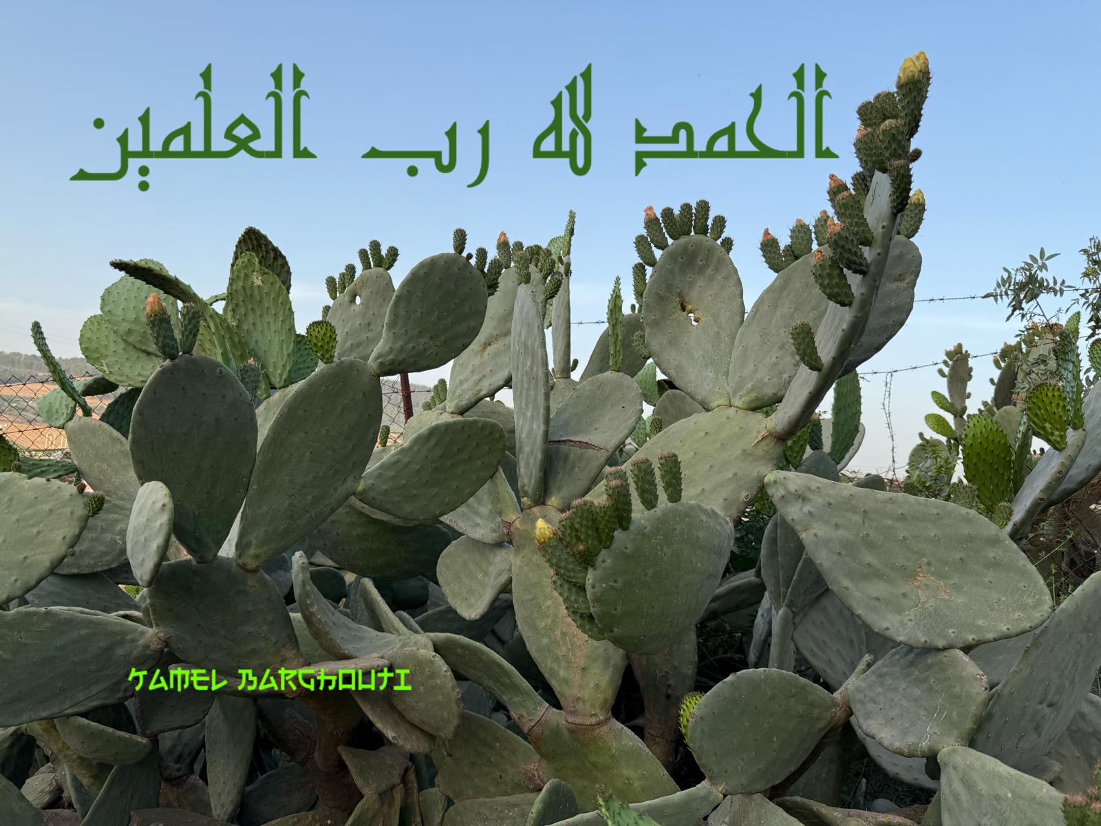 اليقين بالله – اقتباس 227