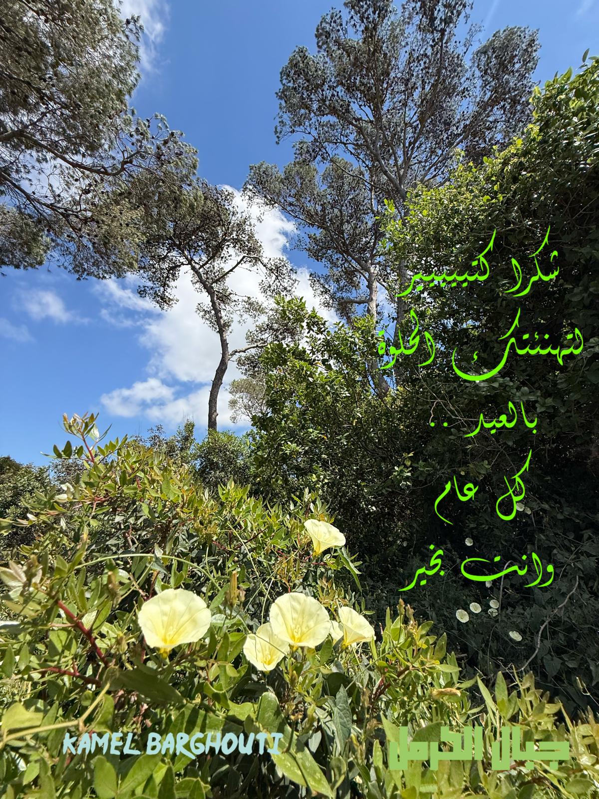تحية الأعياد – اقتباس 5