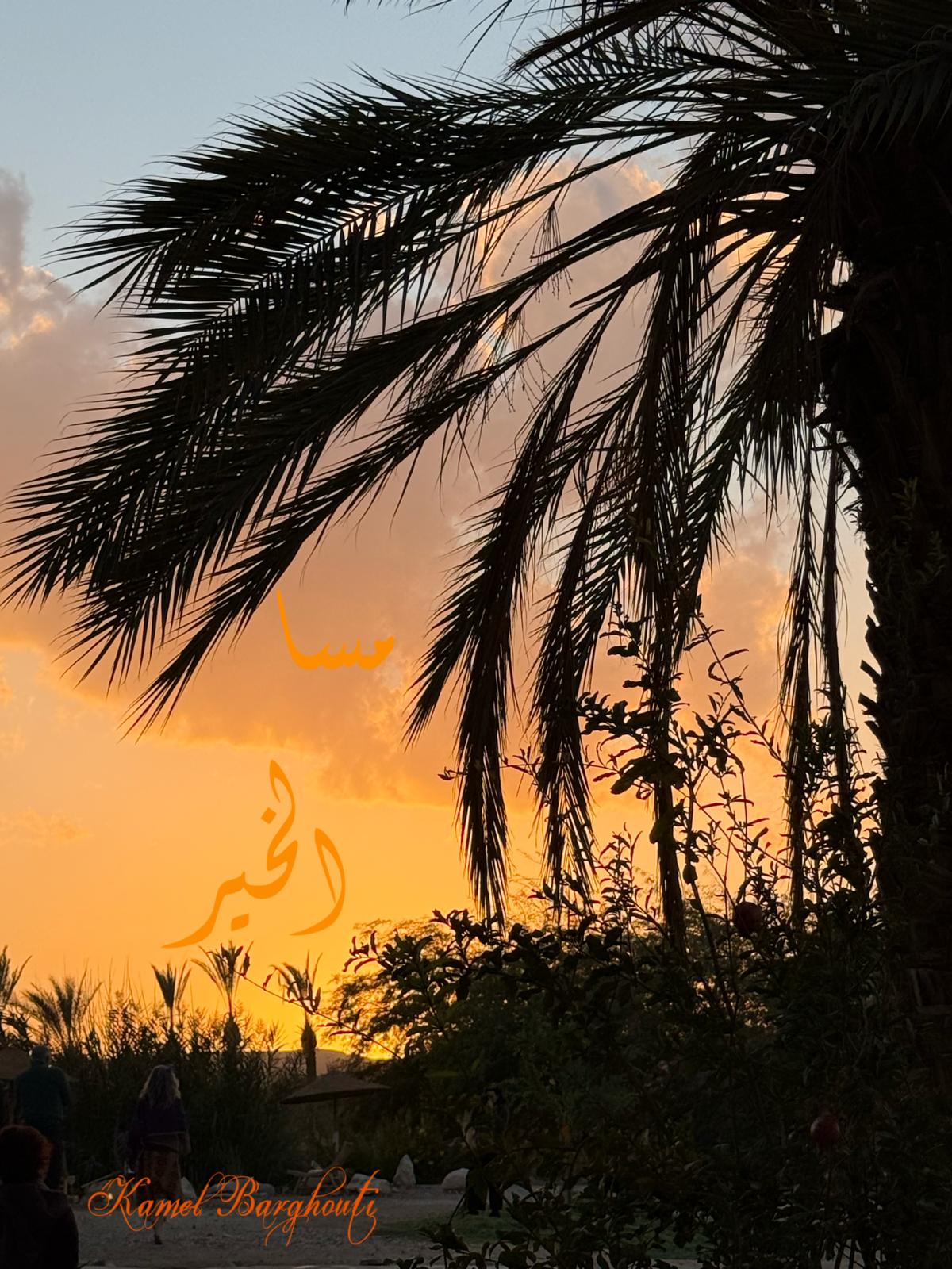 حب وحنين – اقتباس 477