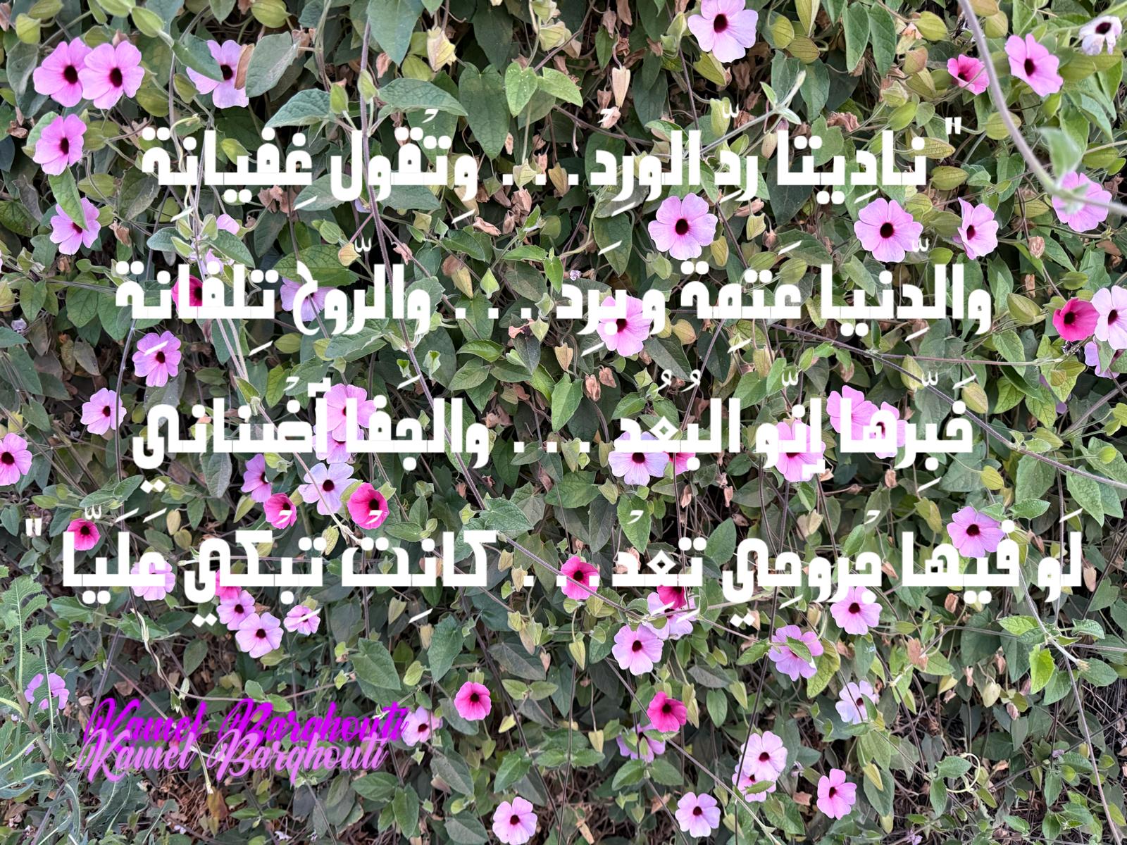 حب وحنين – اقتباس 475