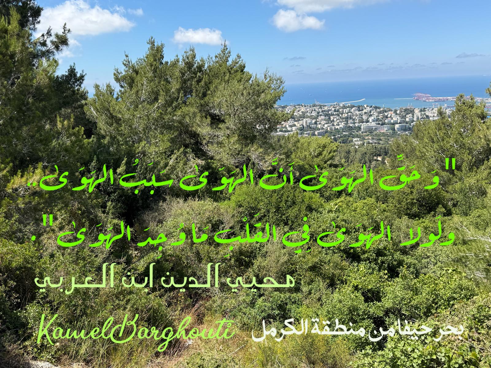 حب وحنين – اقتباس 474