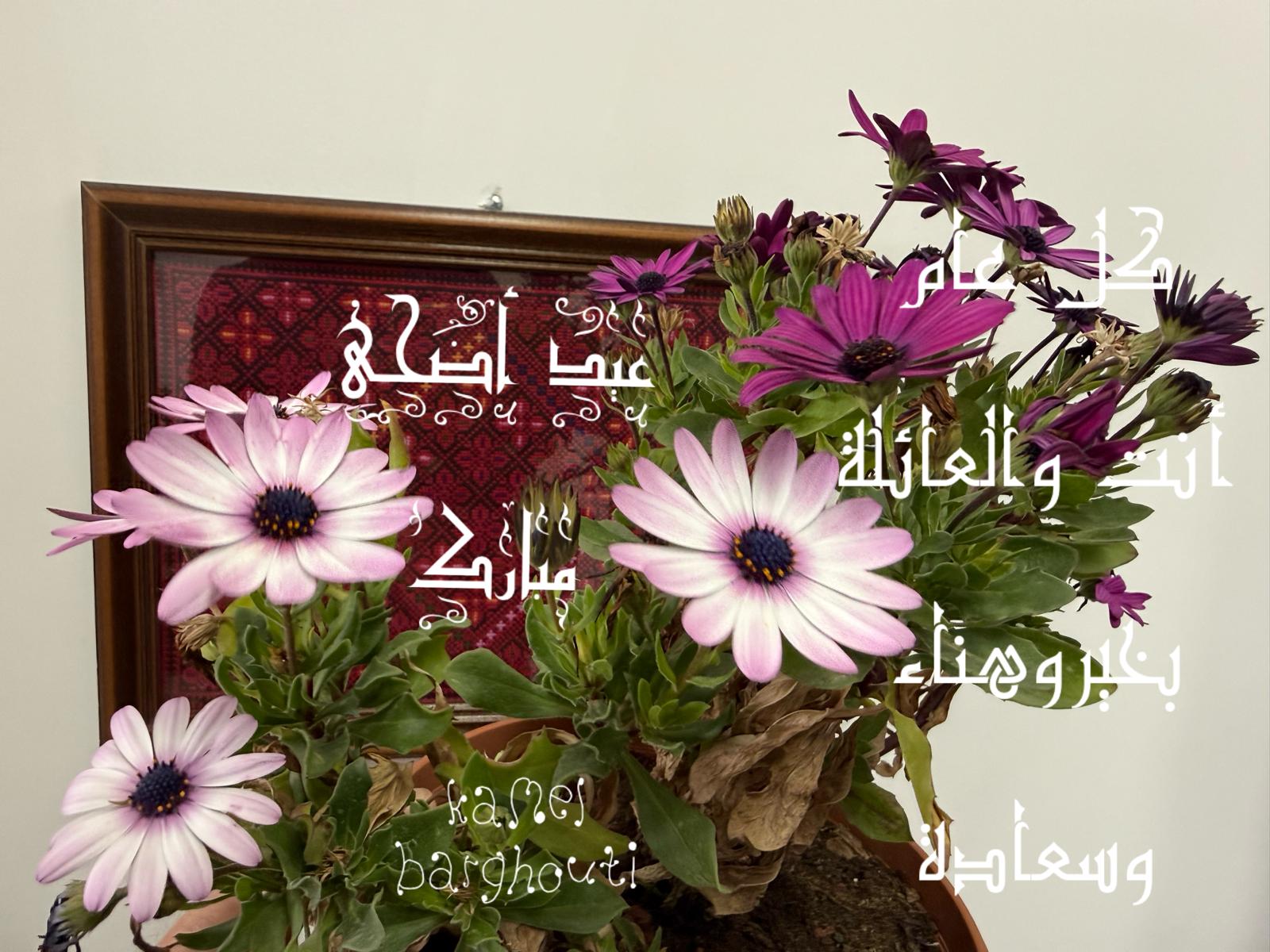 تحية الأعياد – اقتباس 2