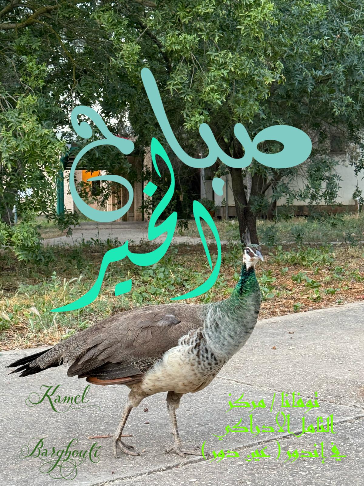 صباح الخير – اقتباس 93