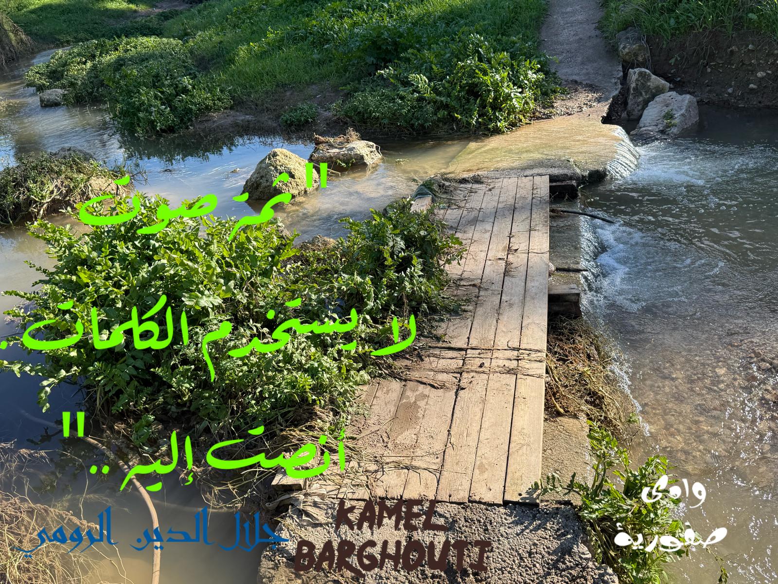 حكمة – اقتباس 184