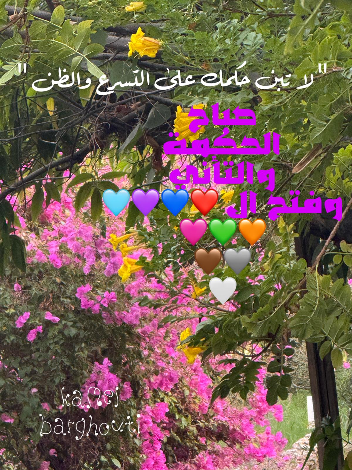 حكمة – اقتباس 181
