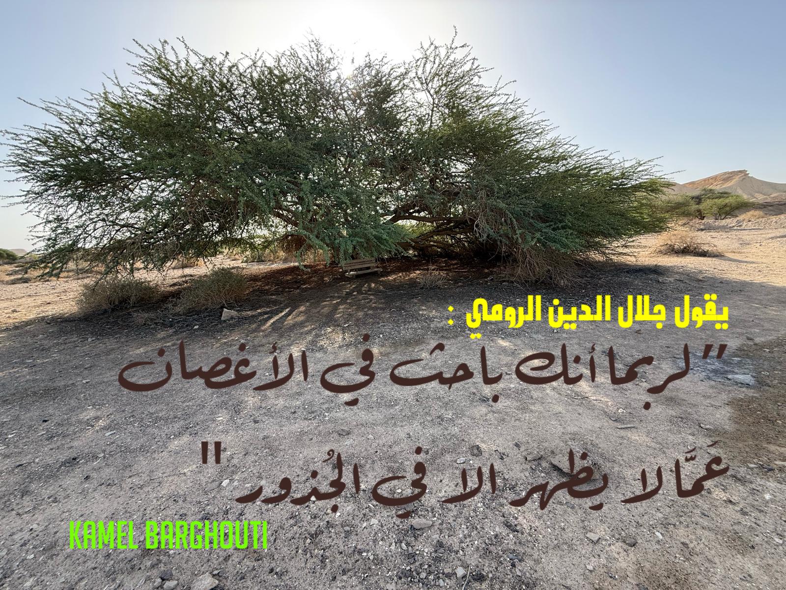 حكمة – اقتباس 185