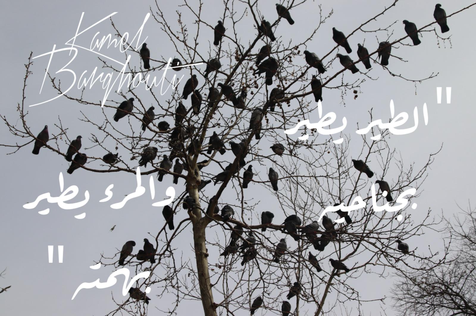 حكمة – اقتباس 150