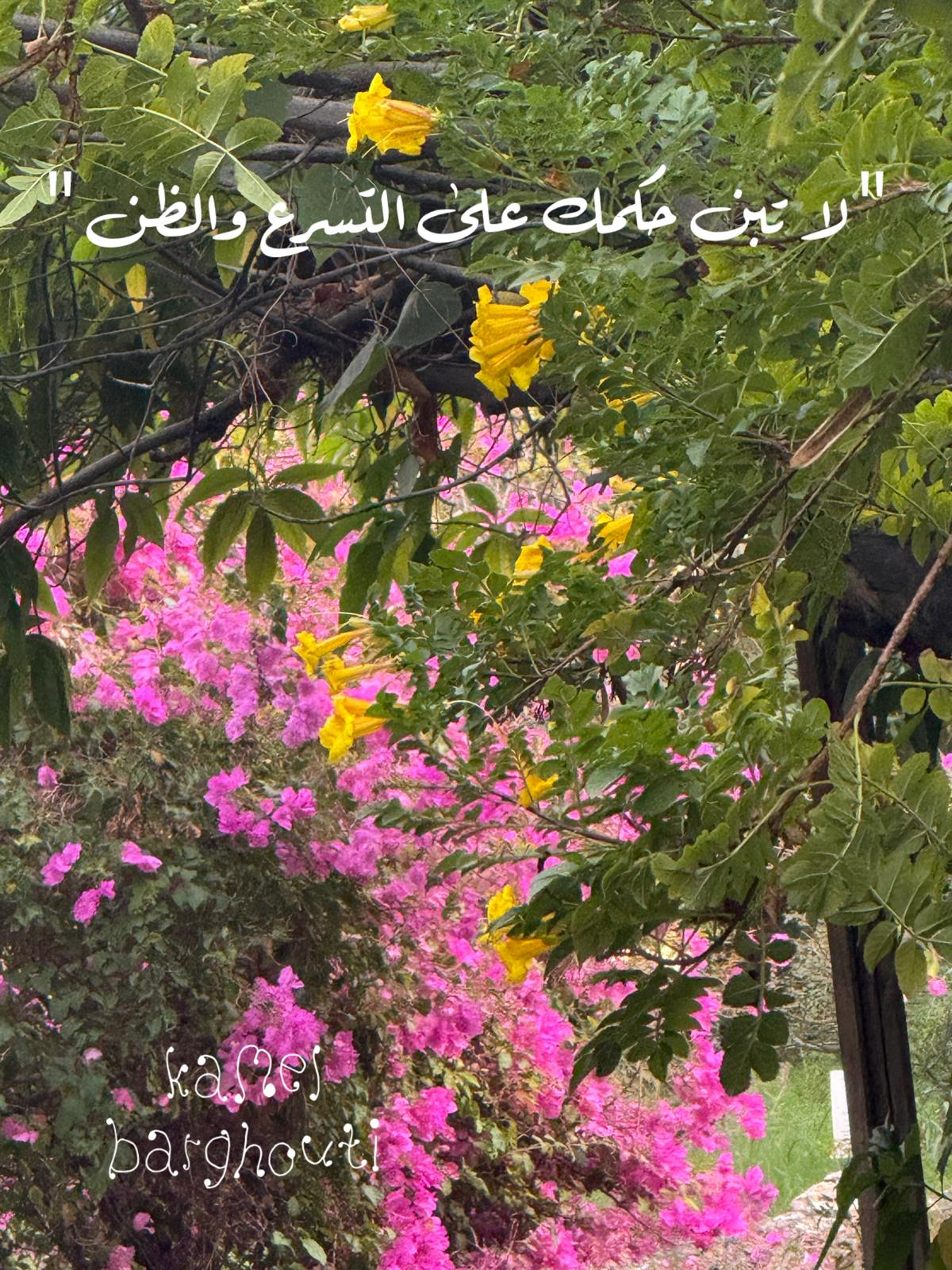 حكمة – اقتباس 151