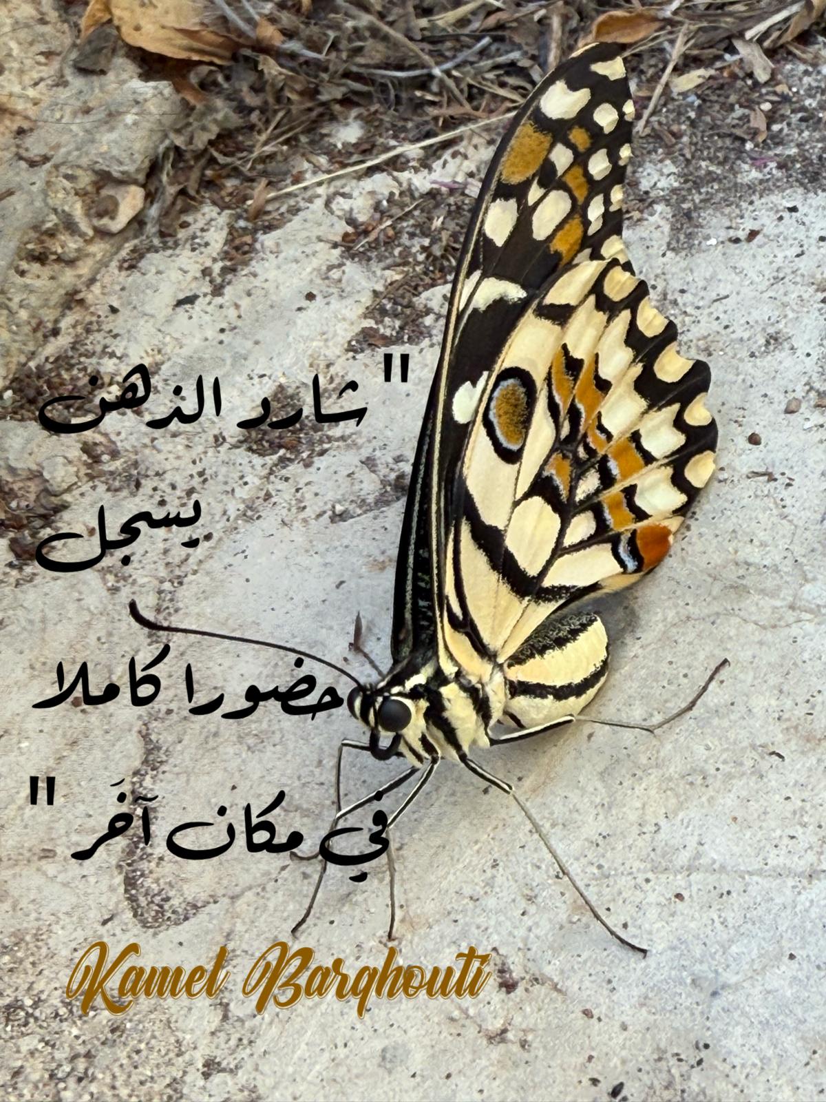 حكمة – اقتباس 156