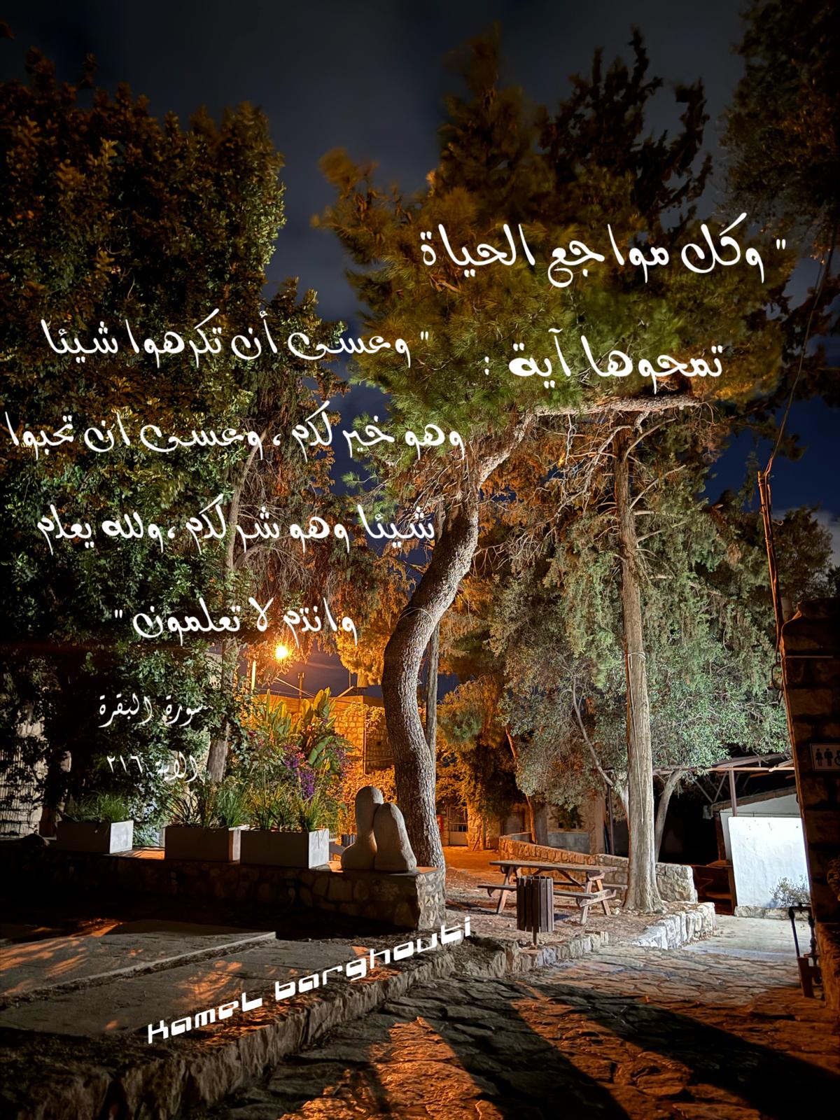 حكمة – اقتباس 165