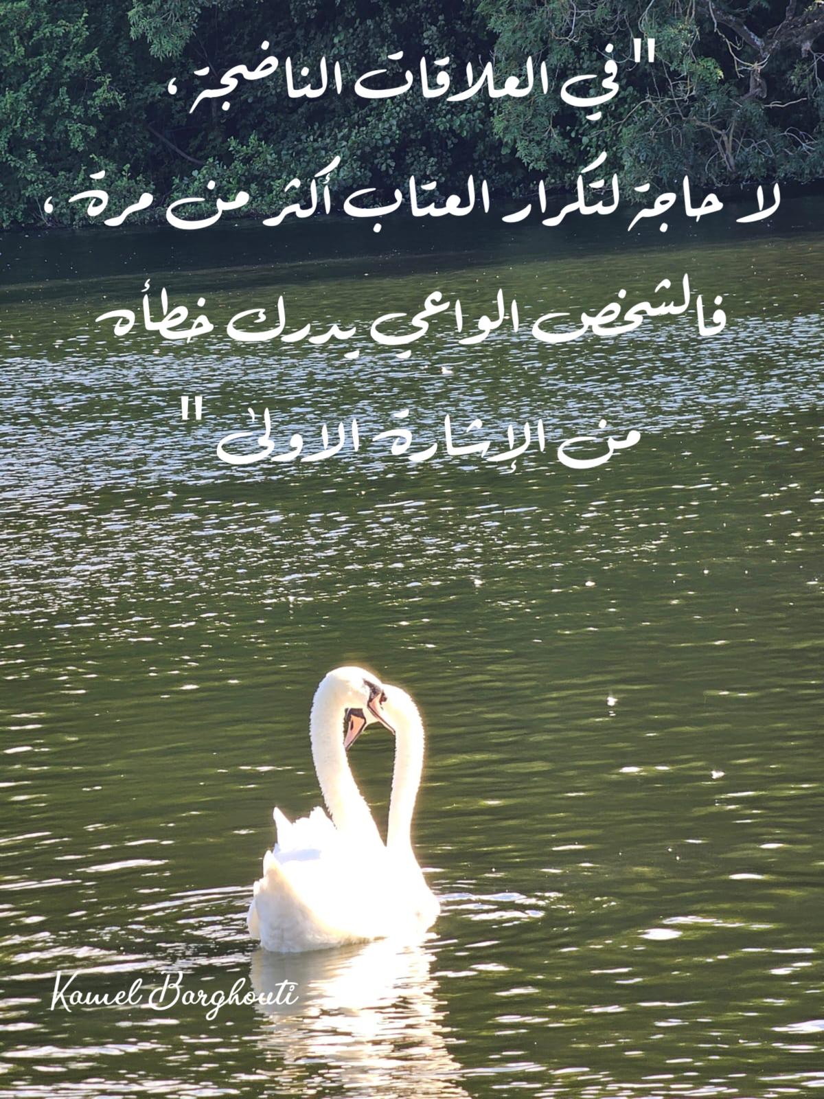 حكمة – اقتباس 132
