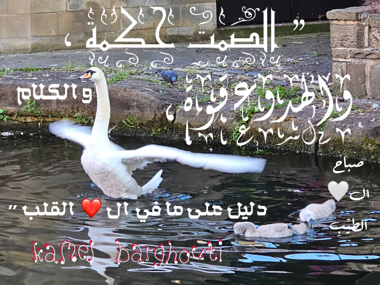 حكمة – اقتباس 141