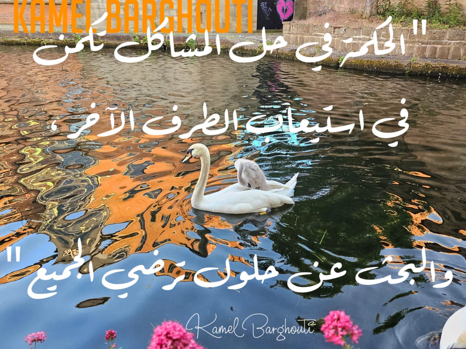 حكمة – اقتباس 145