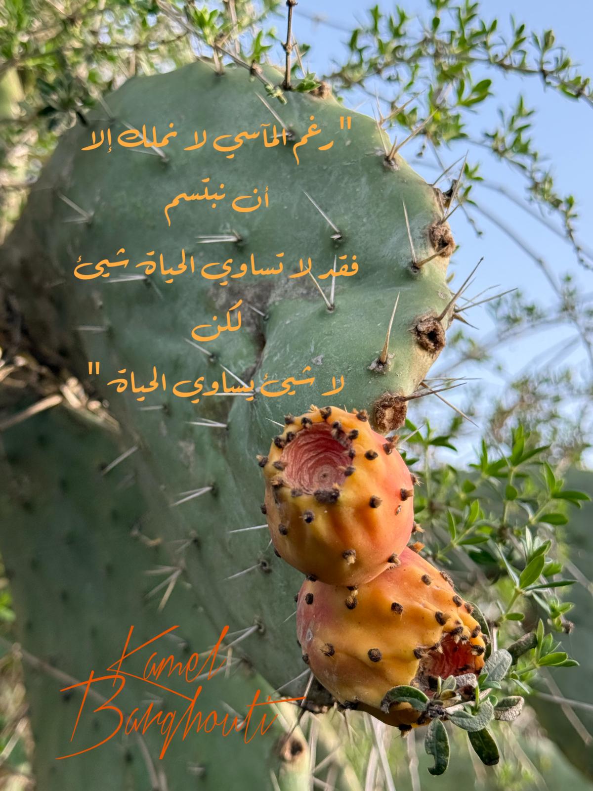 حكمة – اقتباس 138