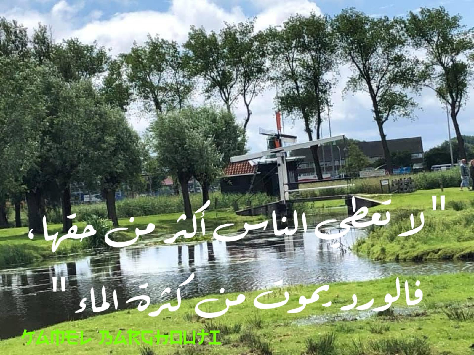 حكمة – اقتباس 123