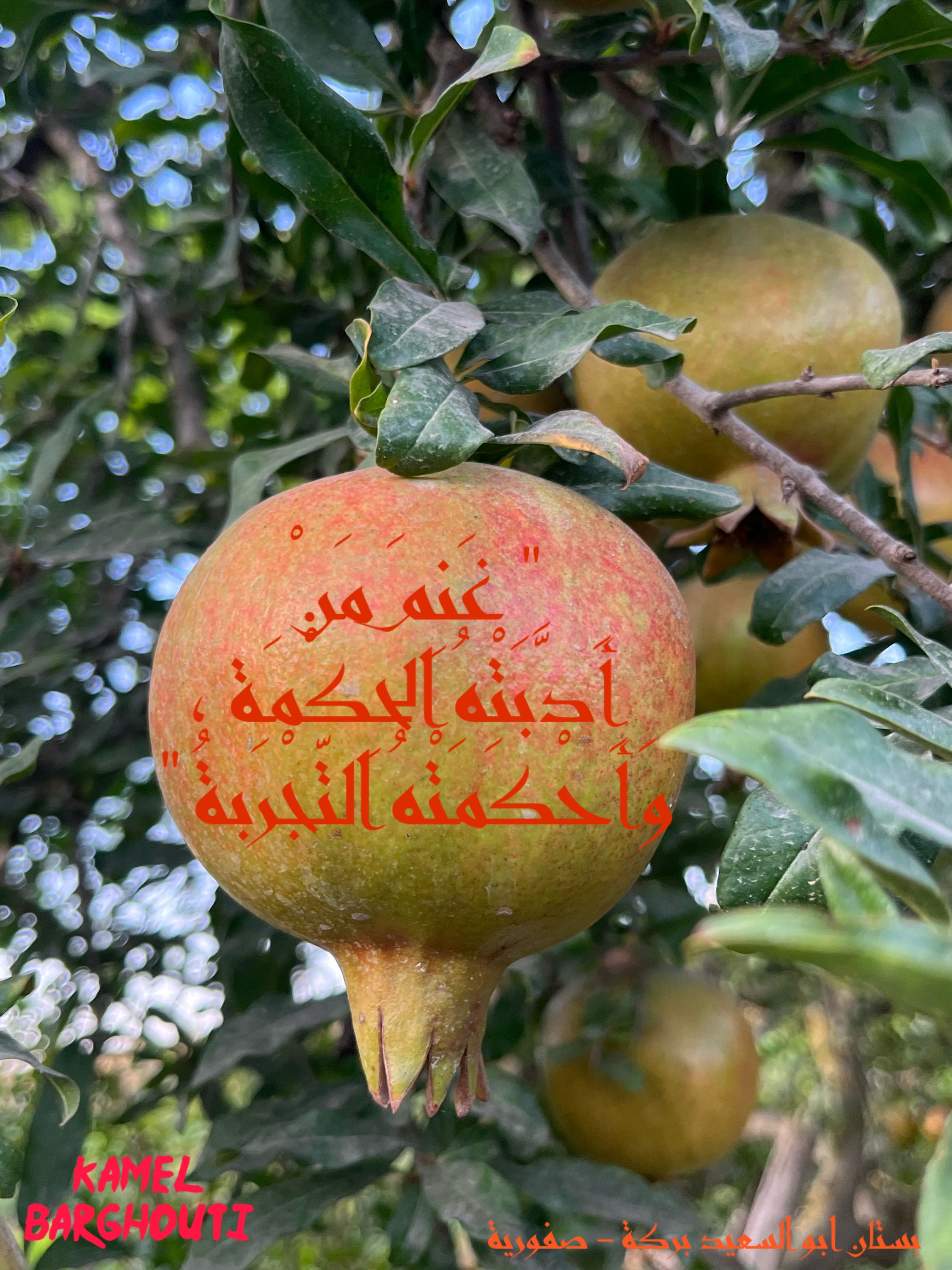حكمة – اقتباس 111