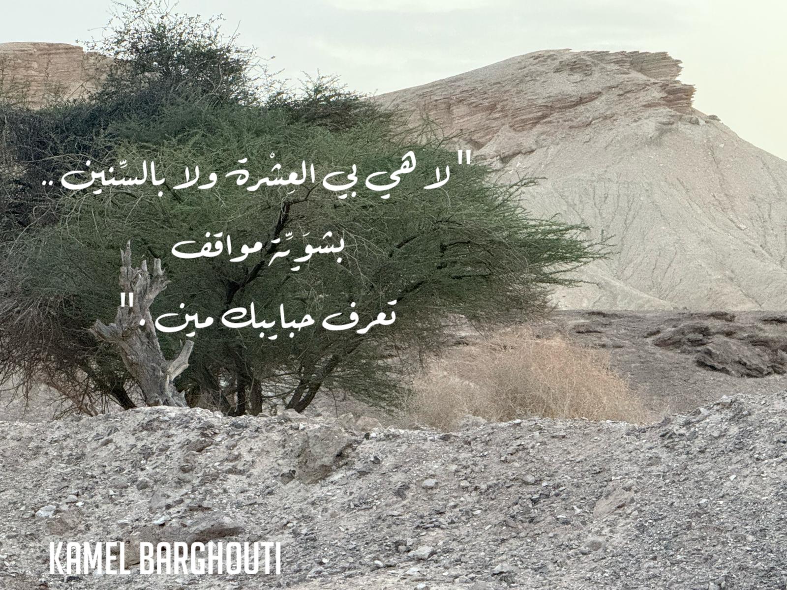 كلام جميل – اقتباس 525