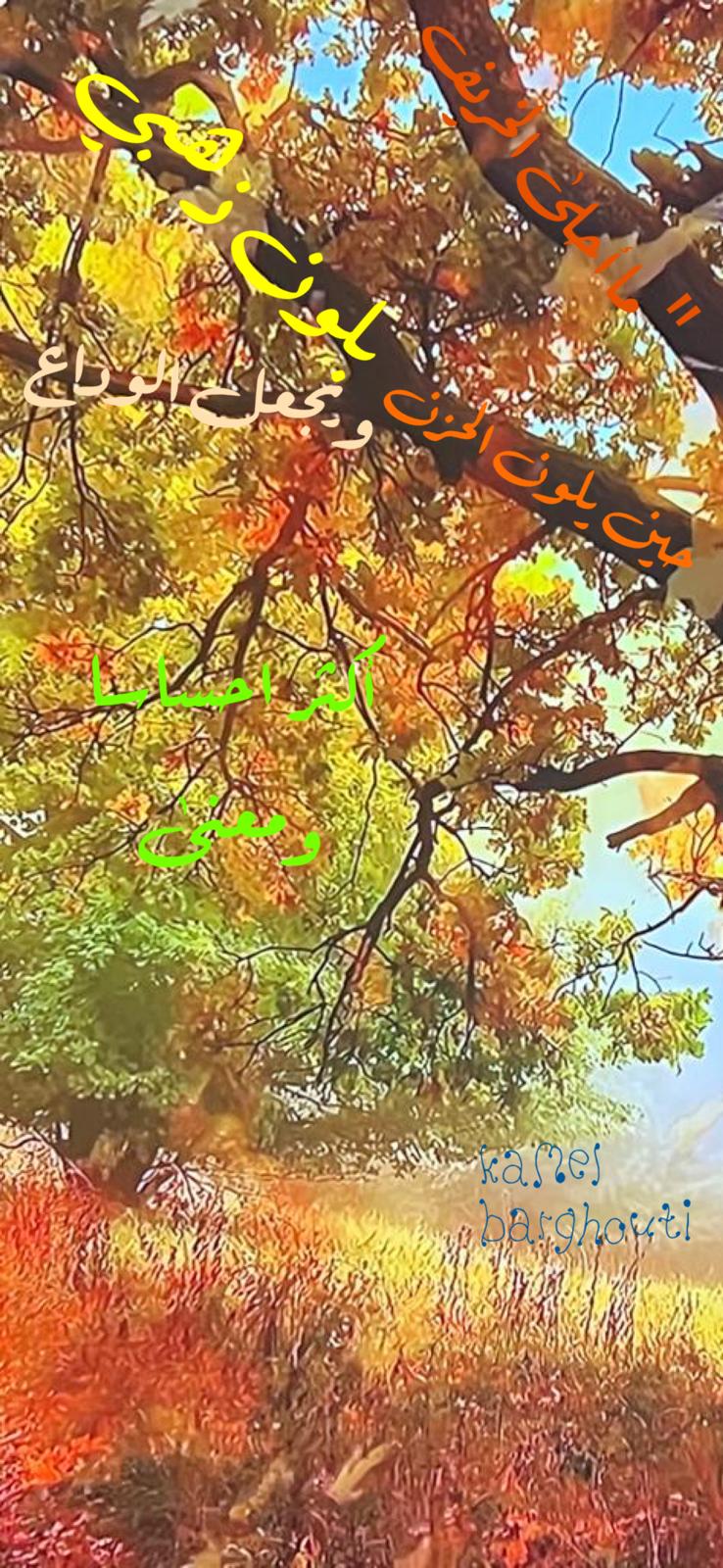 كلام جميل – اقتباس 522