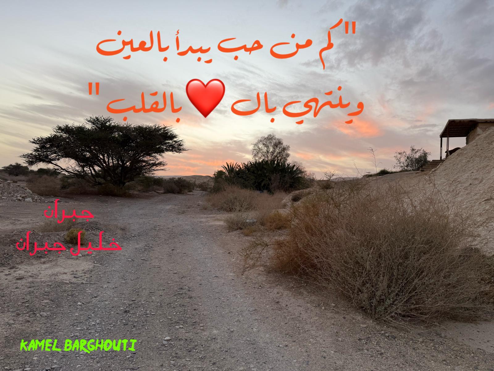 كلام جميل – اقتباس 490