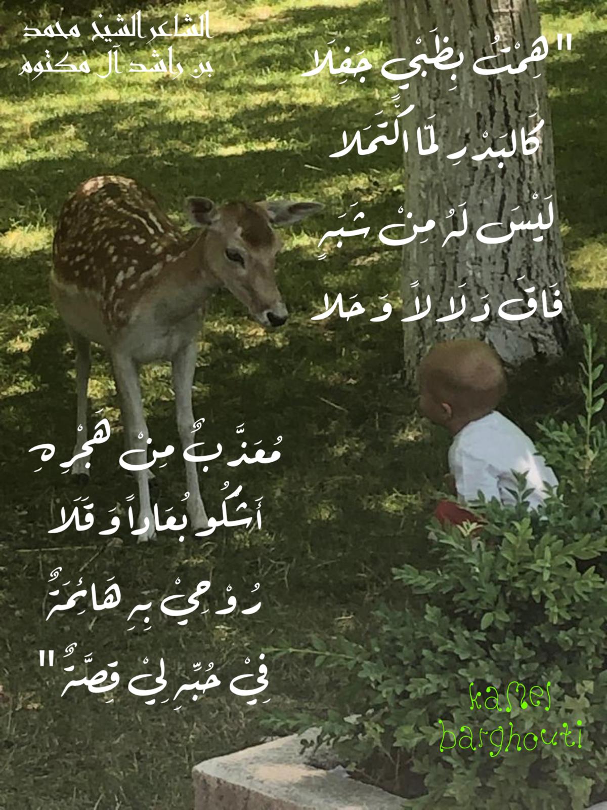 كلام جميل – اقتباس 482