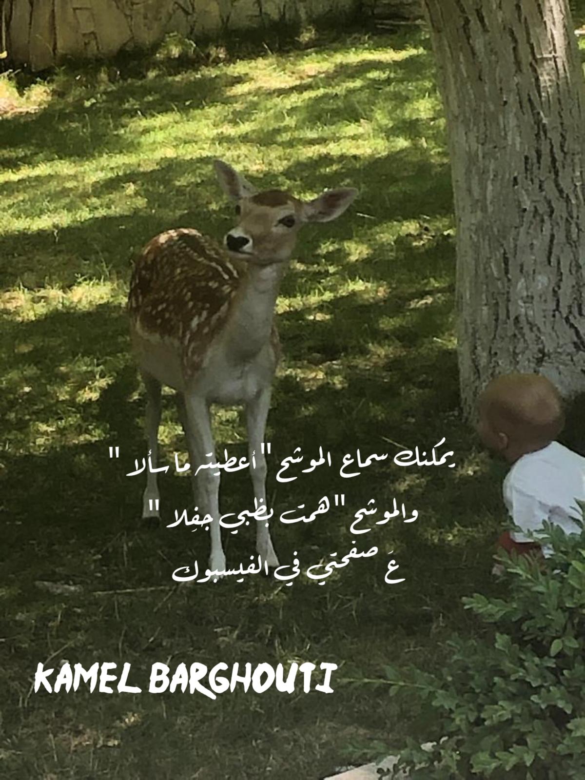 كلام جميل – اقتباس 481