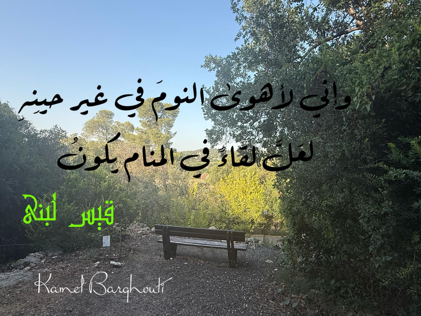 كلام جميل – اقتباس 471